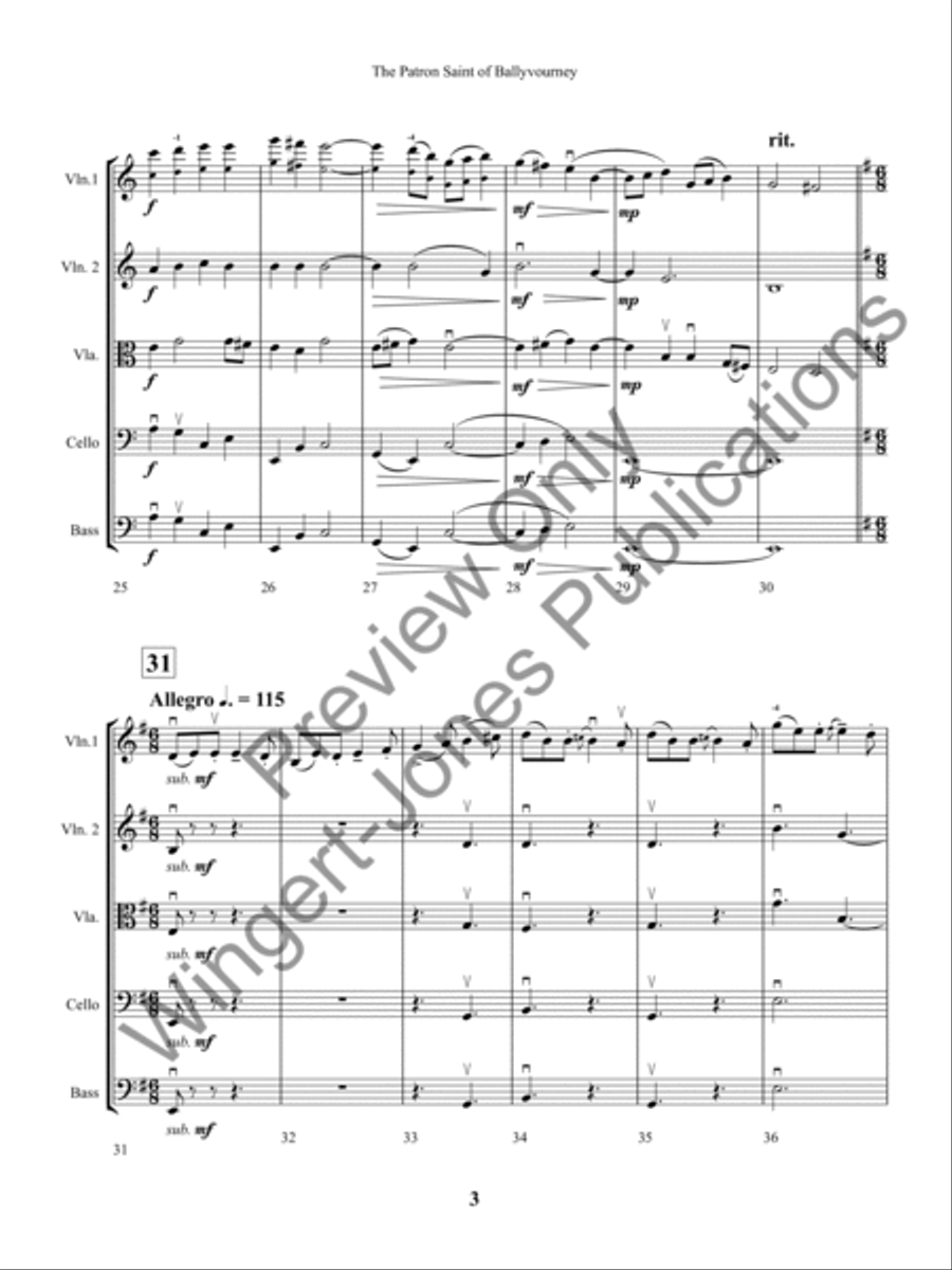 The Patron Saint of Ballyvourney (Score) String Orchestra scores gallery preview page 6