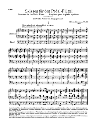 Schumann: Complete Works (Volume V)