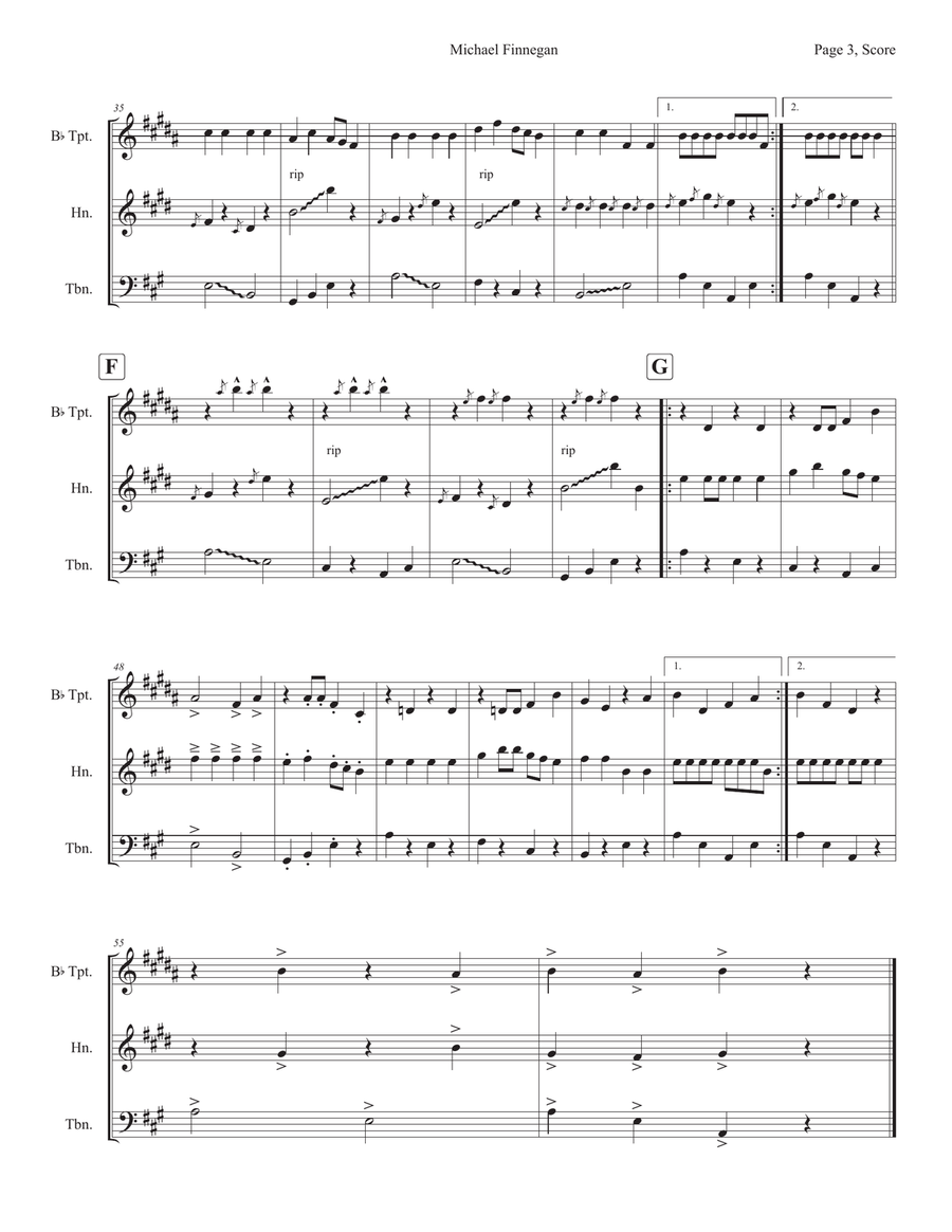 Michael Finnegan Brass Ensemble scores gallery preview page 3