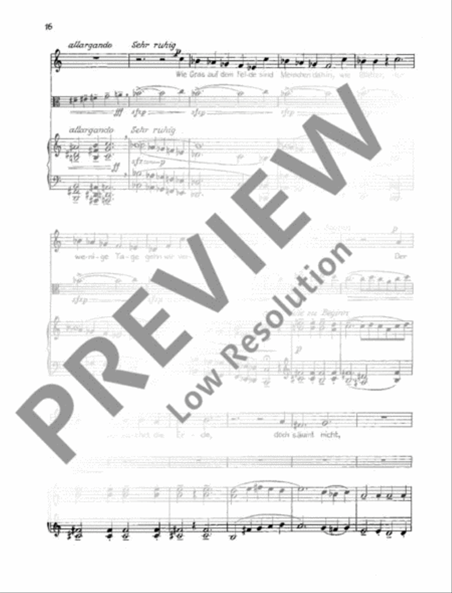 Solo-Cantata Organ scores gallery preview page 17