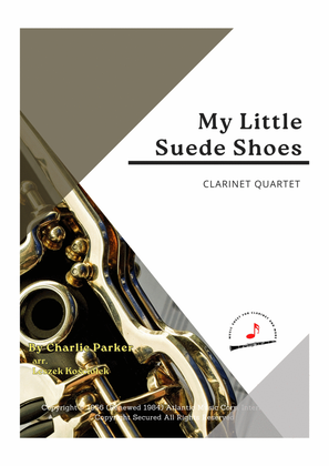 Book cover for My Little Suede Shoes