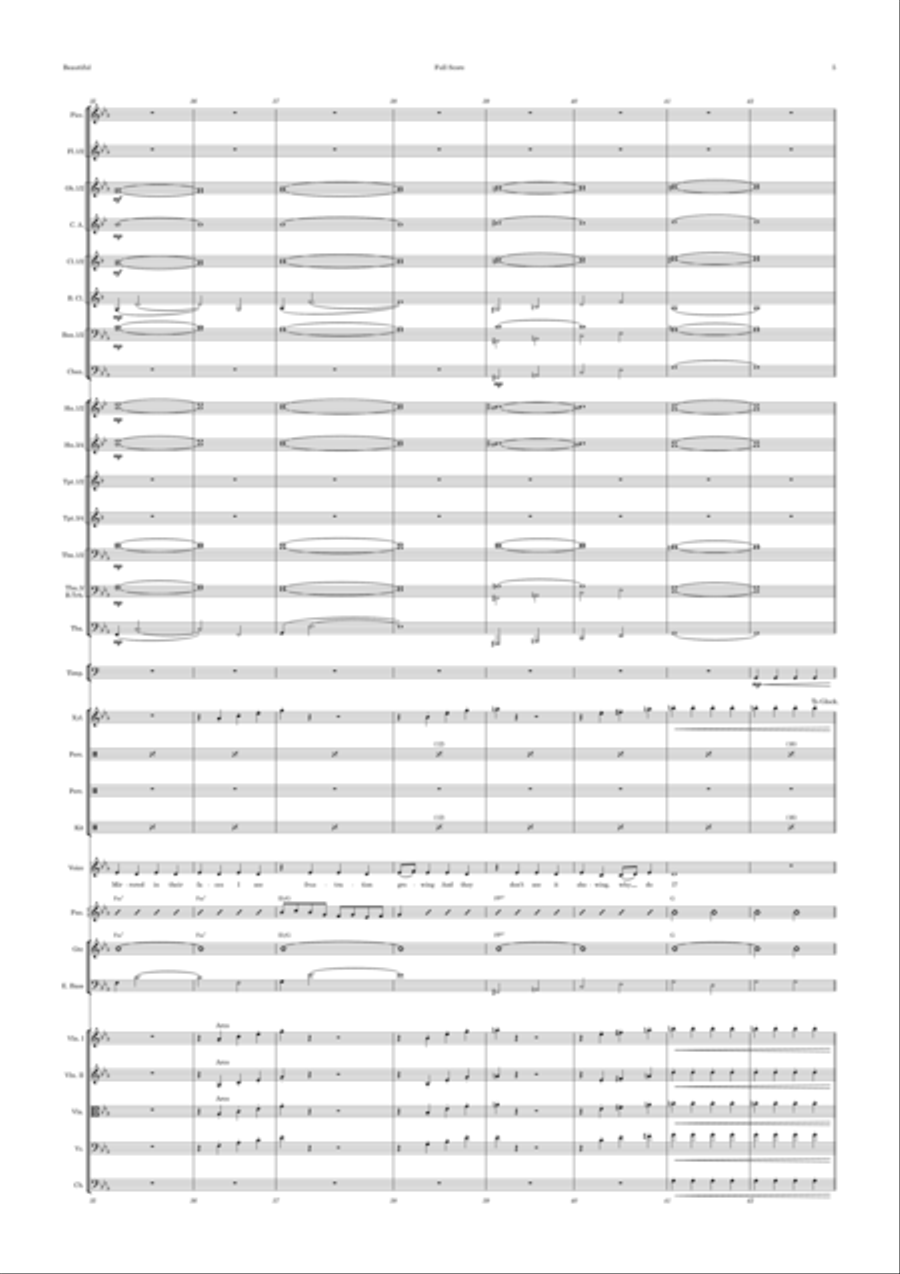 Beautiful Beautiful Full Orchestra scores gallery preview page 5