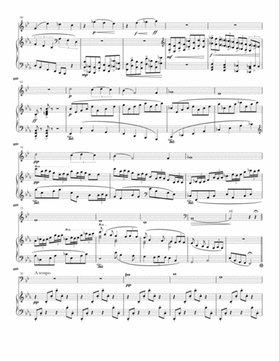 Sonata for horn and piano Piano scores gallery preview page 4