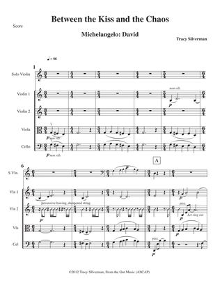 Book cover for Michelangelo: David - String Quartet plus 6-String Violin