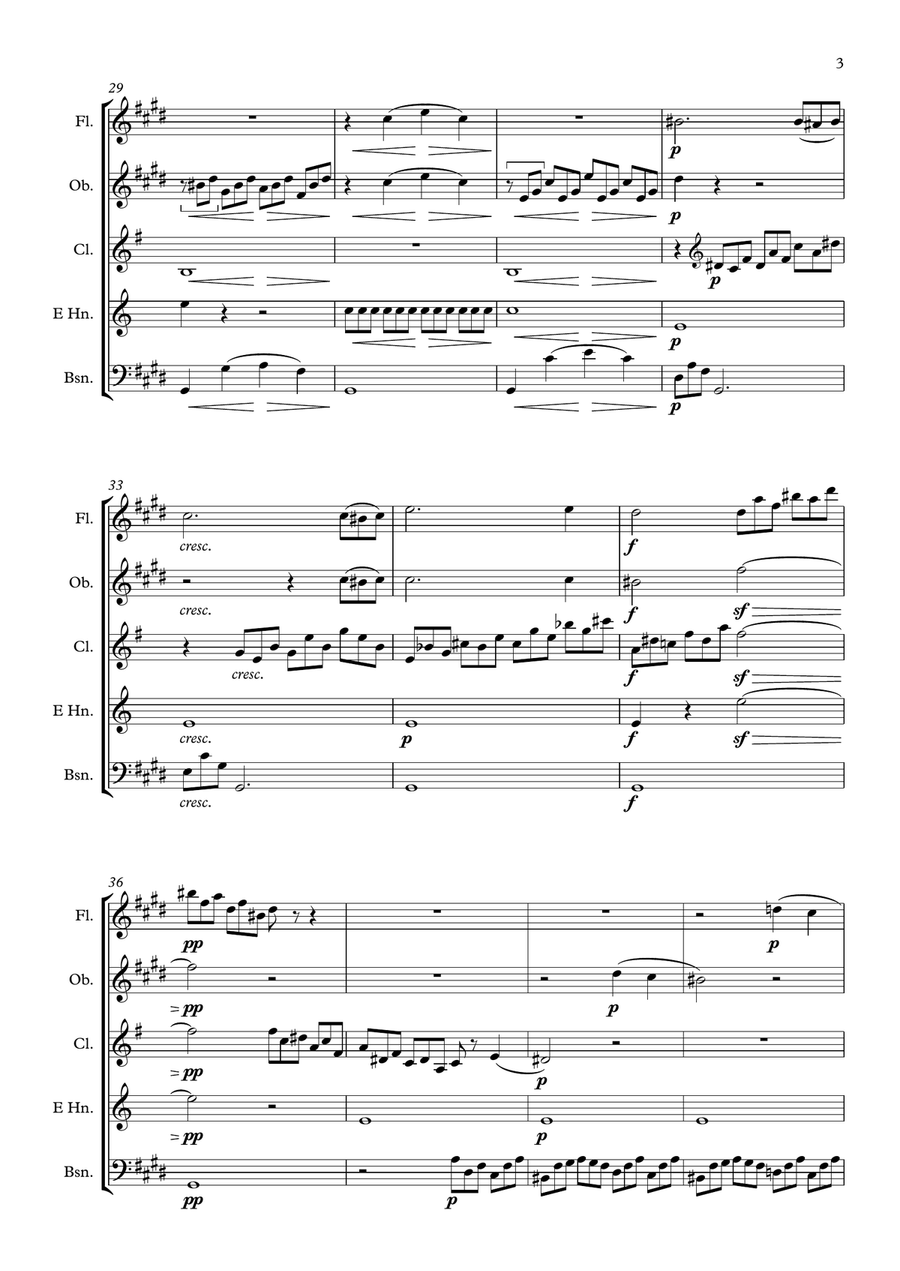 Beethoven: Piano Sonata No.14 in C# minor (quasi una Fantasia) (Moonlight) Op.27 No.2 - wind quintet Woodwind Quintet scores gallery preview page 3