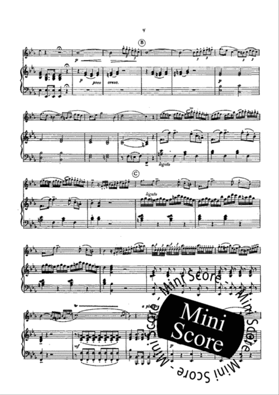 Concerto Concerto Piano Accompaniment scores gallery preview page 6