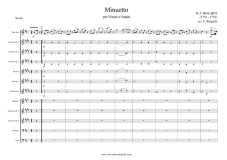 Minuetto - W. A. Mozart image number null