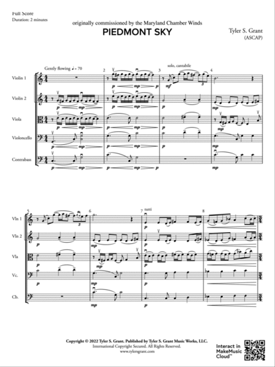Piedmont Sky: Score String Orchestra scores gallery preview page 3
