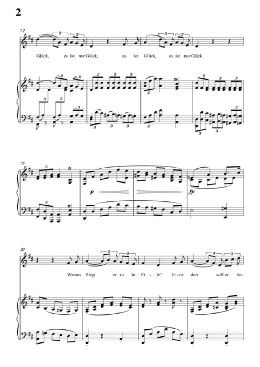 Schubert-Hinund wieder fliegen Pfeile in D for Vocal and Piano Voice scores gallery preview page 3