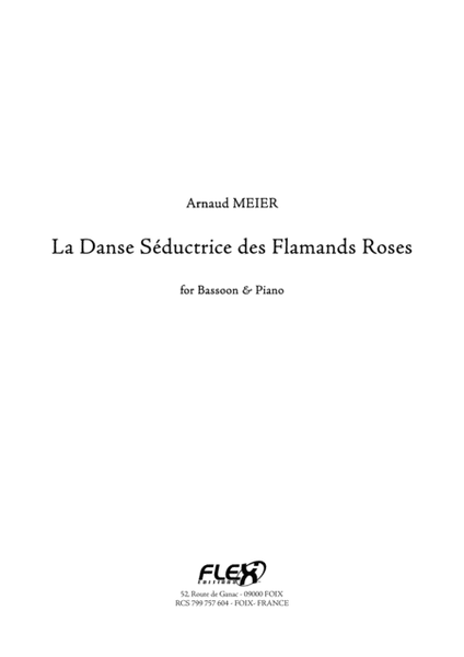 La Danse Seductrice des Flamands Roses image number null