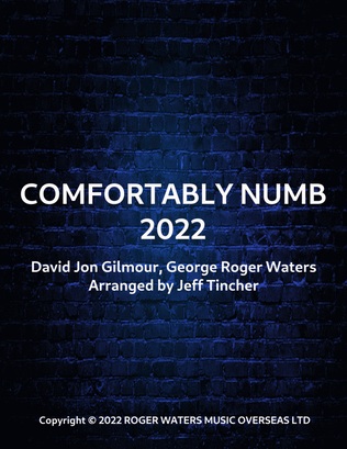 Comfortably Numb 2022
