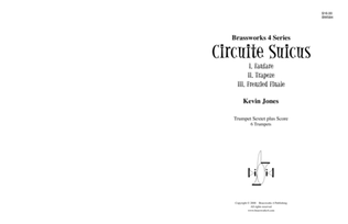 Book cover for Circuite Suicus