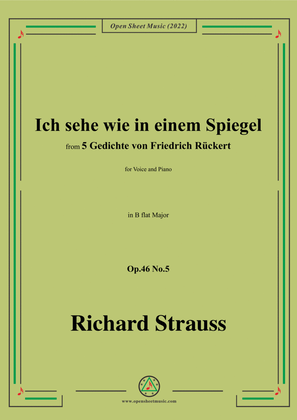 Book cover for Richard Strauss-Ich sehe wie in einem Spiegel,in B flat Major