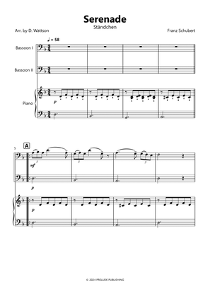 Serenade by Schubert for bassoon duet