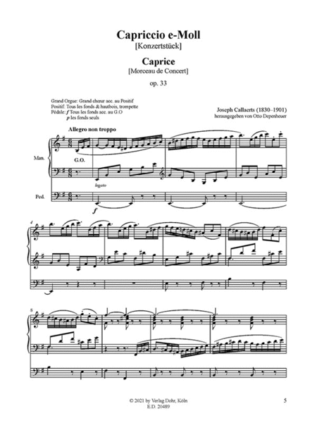Capriccio für Orgel e-Moll op. 33