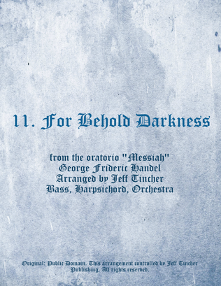 11. For Behold Darkness