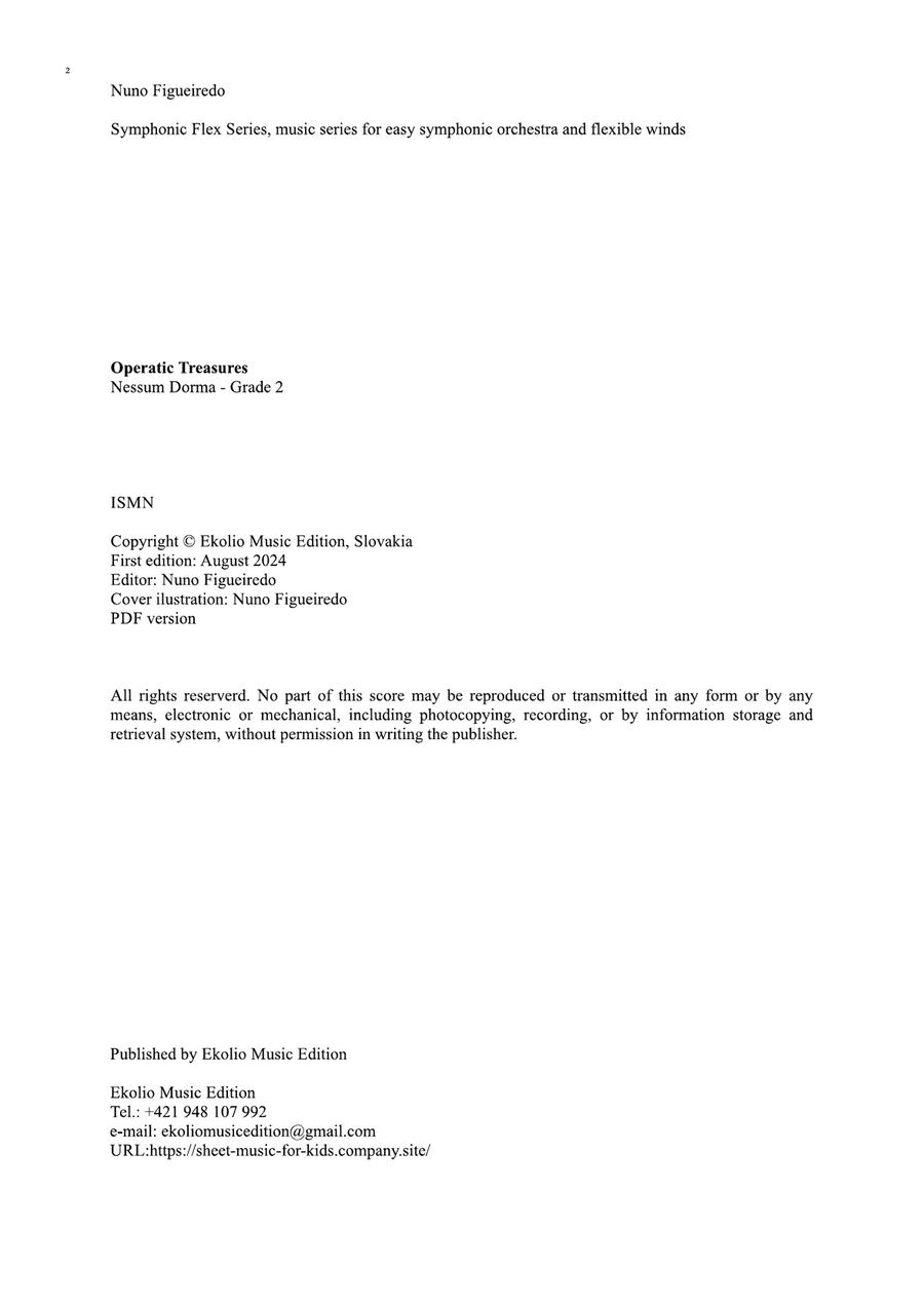 Nessun dorma Chamber Orchestra scores gallery preview page 2