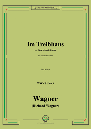 R. Wagner-Im Treibhaus,in c minor,WWV 91 No.3,from Wesendonck-Lieder