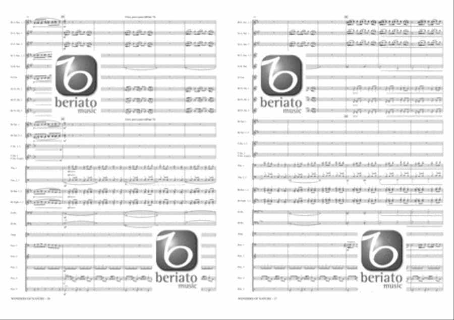 Wonders of Nature Fanfare Band scores gallery preview page 12