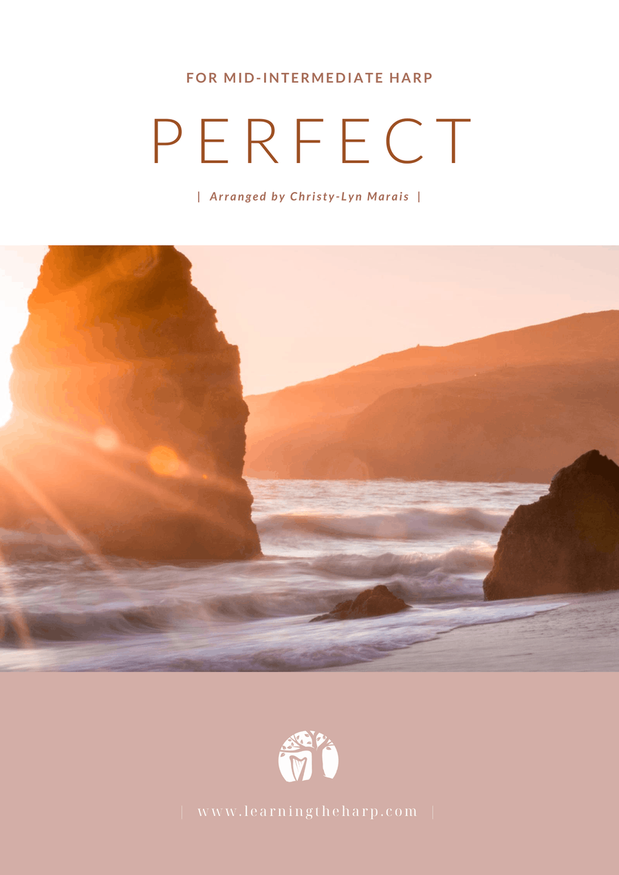 Book cover for Perfect