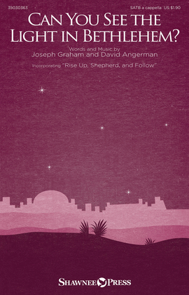 Book cover for Can You See the Light in Bethlehem?
