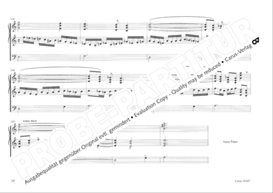Toccata and Fugue Organ scores gallery preview page 11