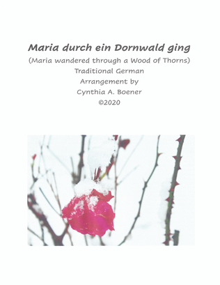 Book cover for Maria durch ein Dornwald ging
