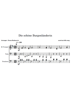 Book cover for Die schöne Burgenländerin - for brass trio