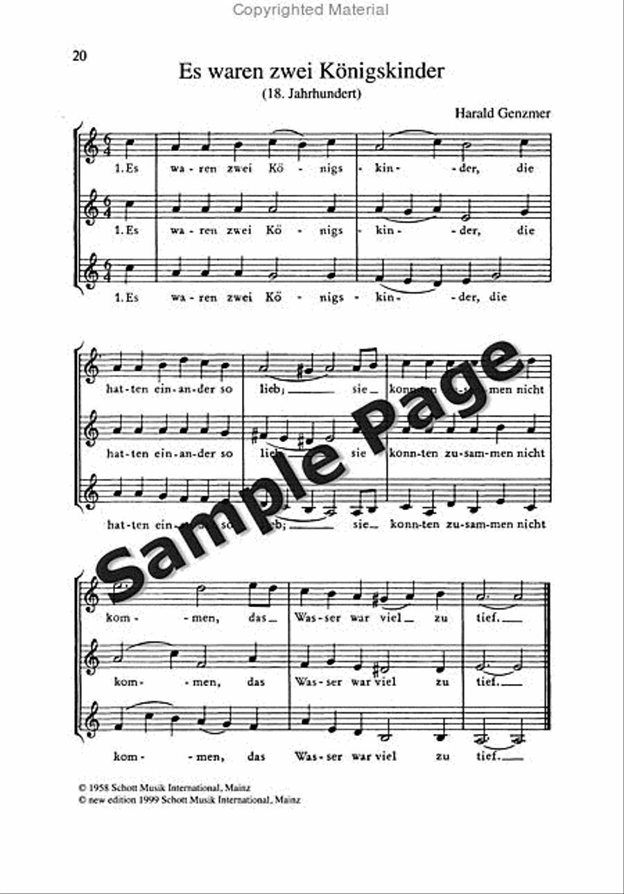Roller Coaster Ride Piano Solo scores gallery preview page 21