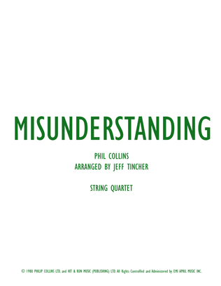Book cover for Misunderstanding