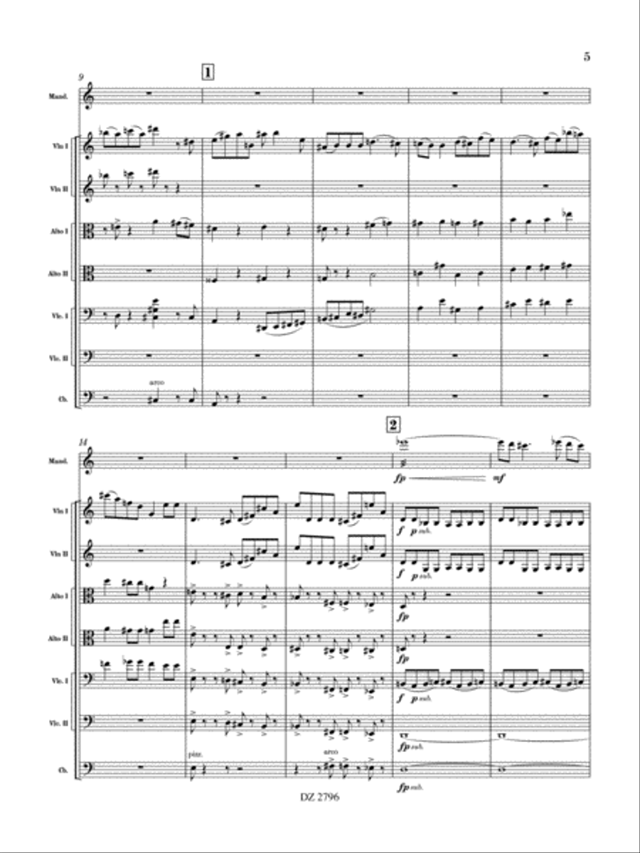 Mouvement concertant String Orchestra scores gallery preview page 5