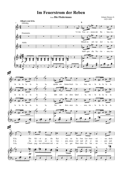 Johann Strauss II-Im Feuerstrom der Reben(No.11) image number null