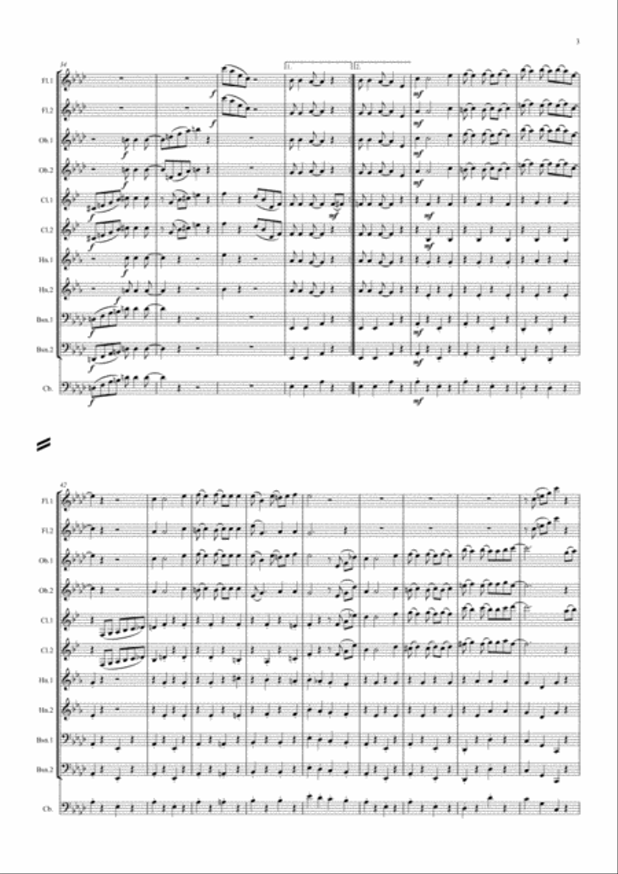 Scott Joplin: The Easy Winners (Rag) - wind dectet (and bass) Woodwind Quintet scores gallery preview page 3