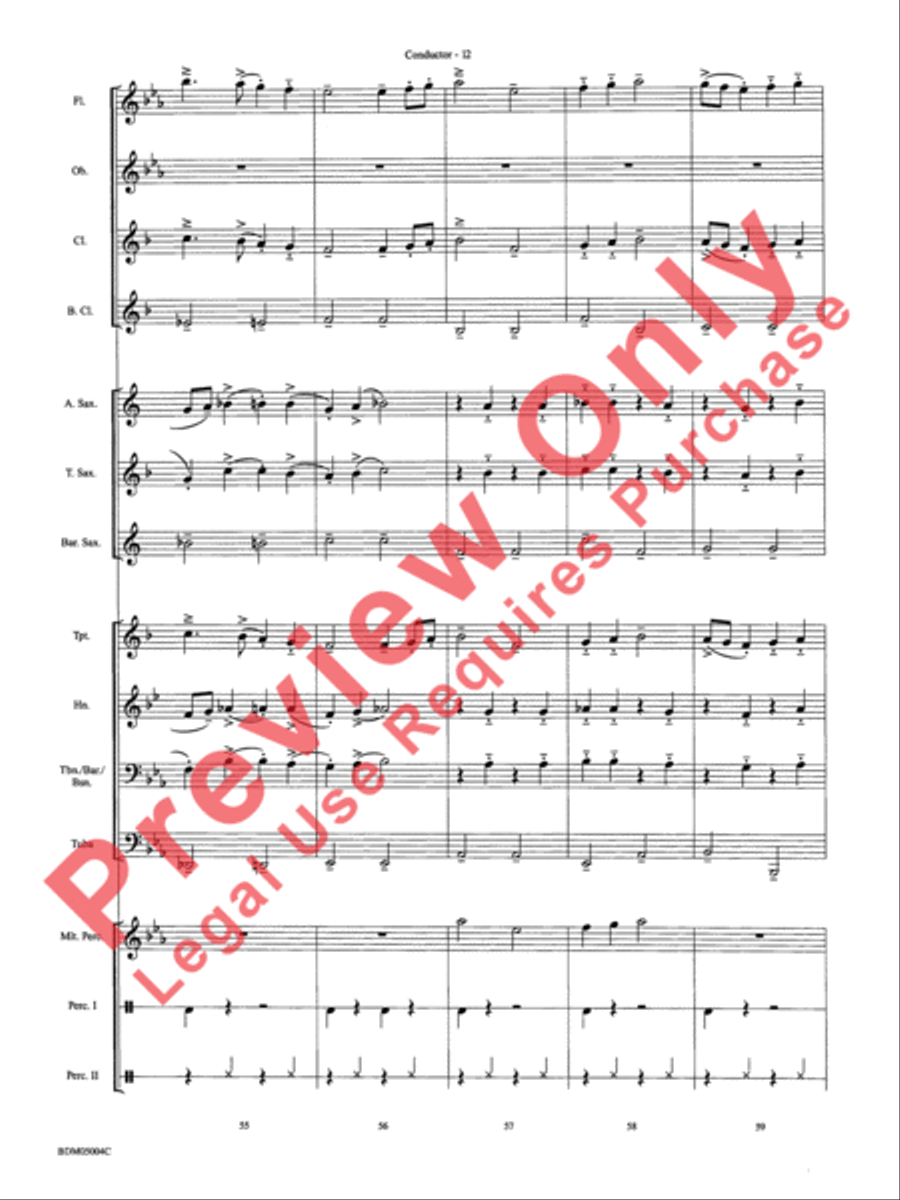 Russian Folk Dance Concert Band scores gallery preview page 14