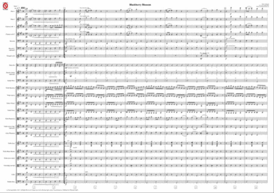 Blackberry Blossom (for mixed school orchestra) Chamber Orchestra scores gallery preview page 1