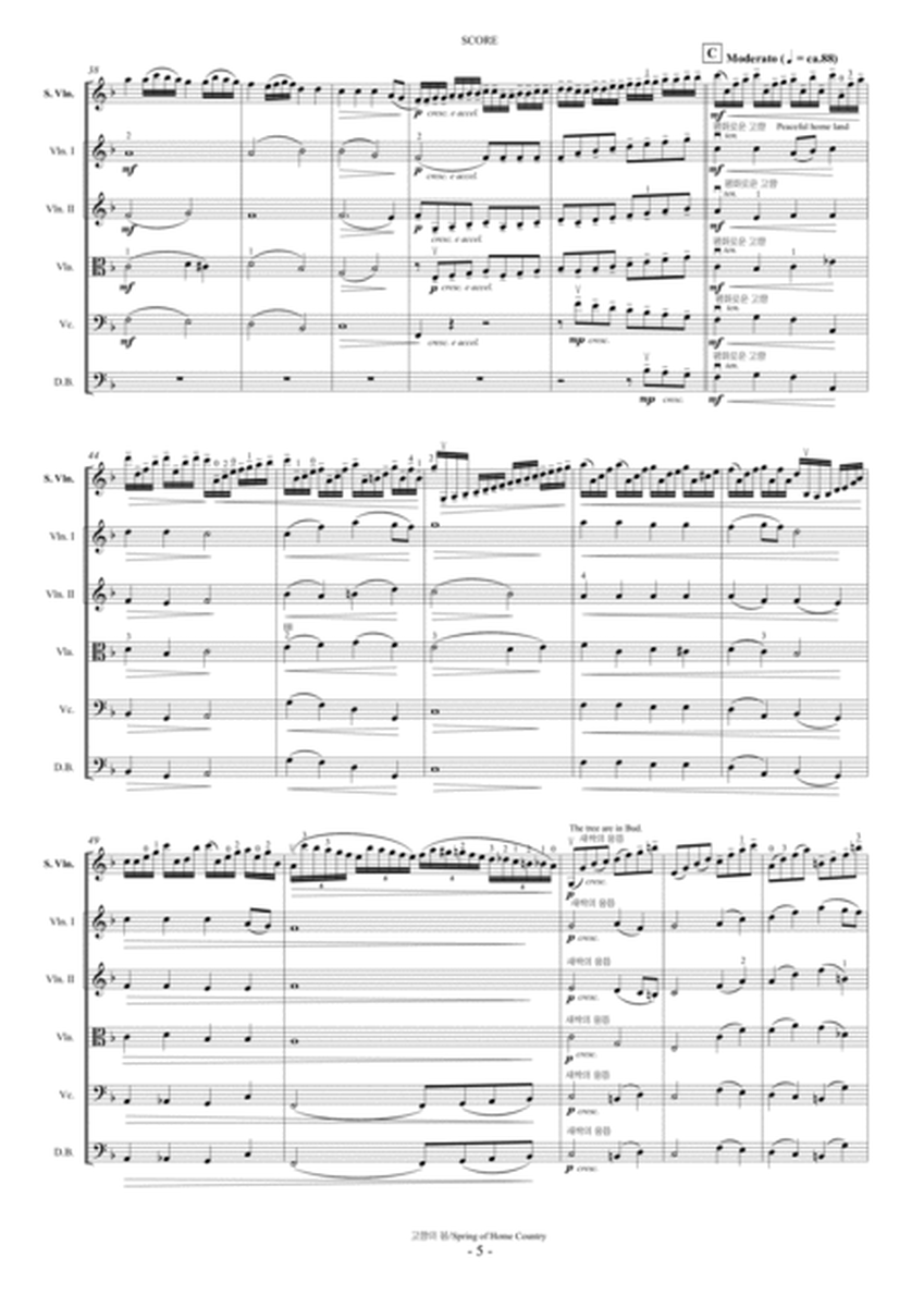 "Spring of Home Country" for Violin and Strings.