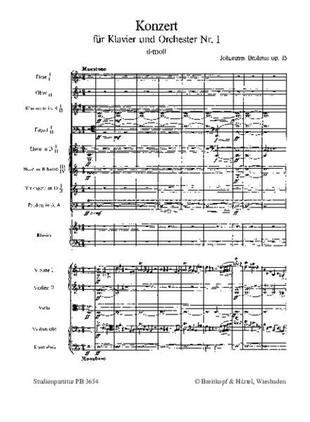 Piano Concerto No. 1 in D minor Op. 15
