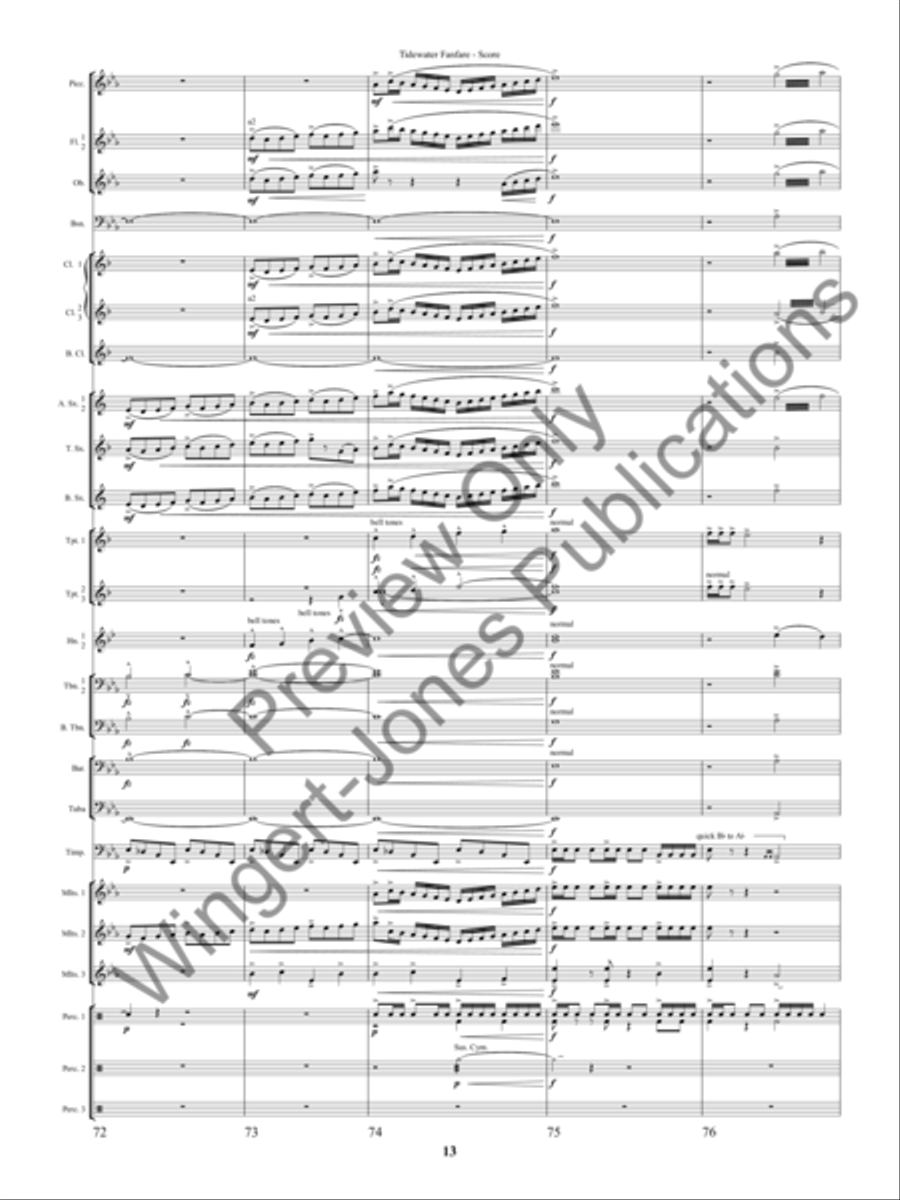 Tidewater Fanfre (Score) Concert Band scores gallery preview page 16