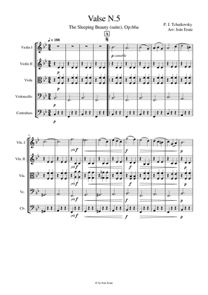 Valse No.5 - The Sleeping Beauty. op.66a