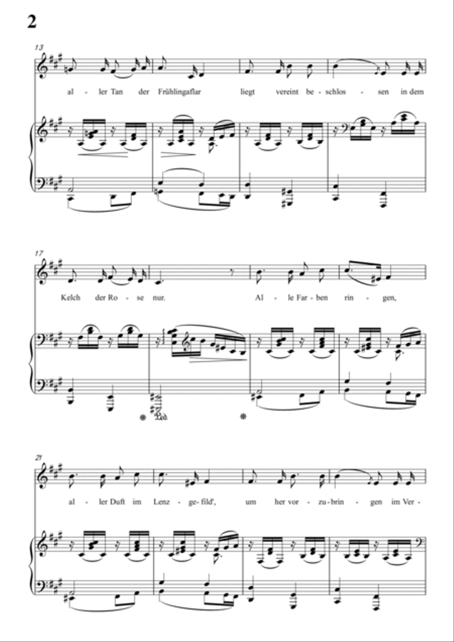 Schumann-Rose,Meer und Sonne in A Major for Voice and Piano Voice Solo scores gallery preview page 3