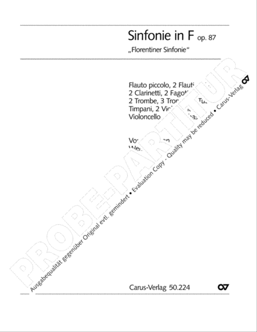 Rheinberger (Gesamtausgabe, Bd. 24) Orchestra scores gallery preview page 4