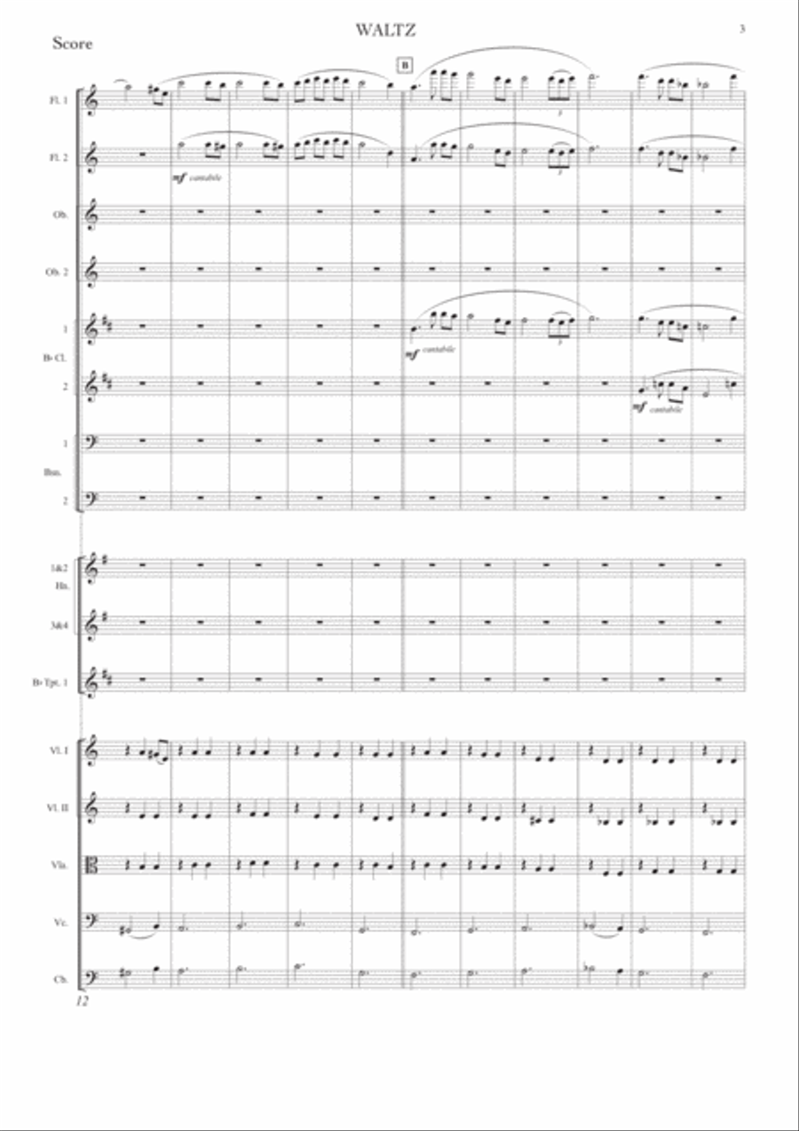 Waltz (for Full Orchestra) Full Orchestra scores gallery preview page 4