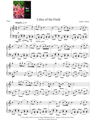 Lilies of the Field - Upbeat Waltz!