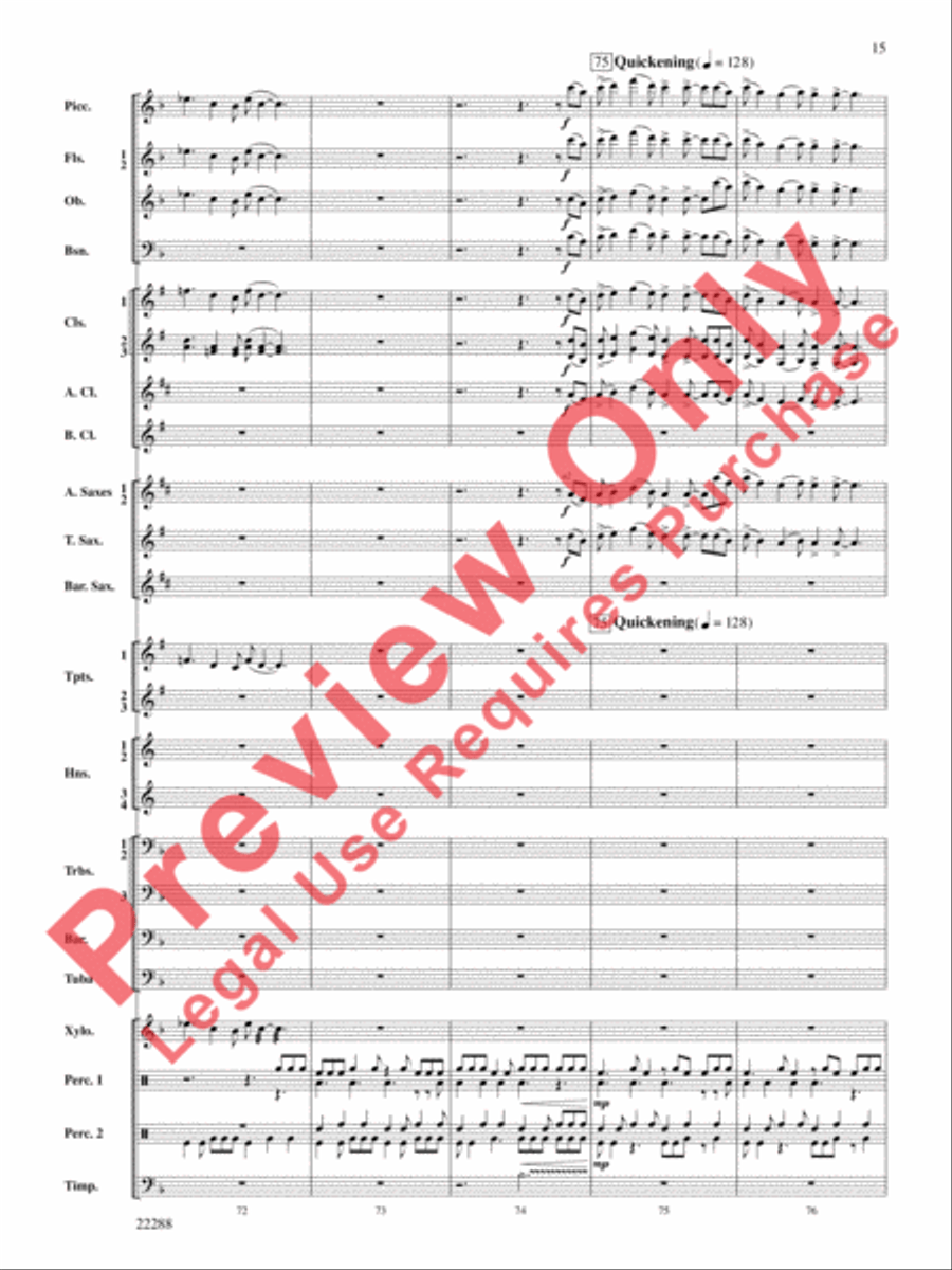 Mandjiani Concert Band scores gallery preview page 16