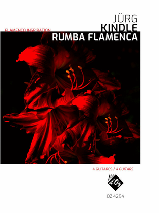 Book cover for Flamenco Inspiration