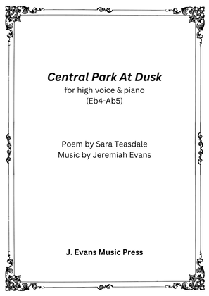 Book cover for Central Park at Dusk