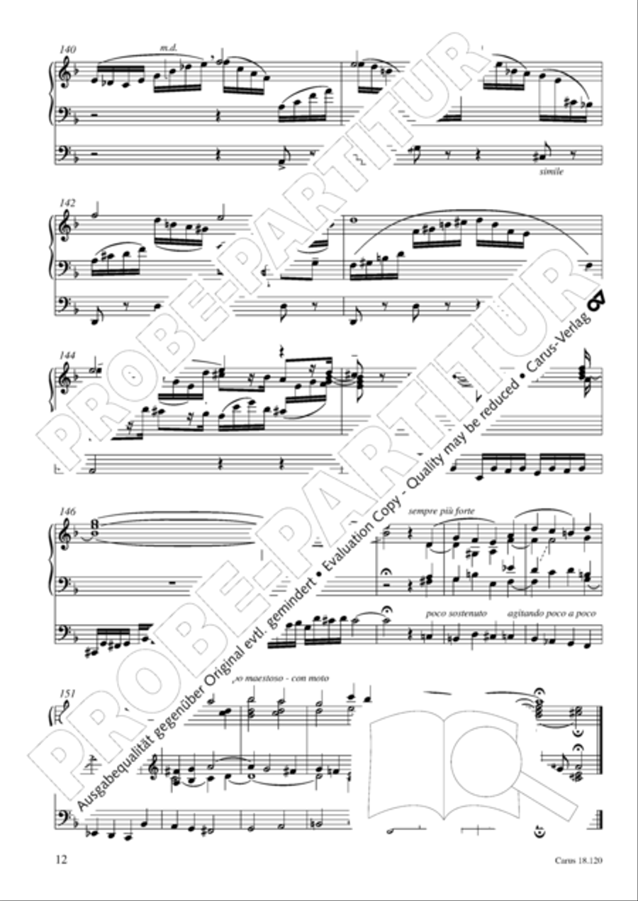 Sonata in D minor about the chorale O Haupt voll Blut und Wunden Organ scores gallery preview page 13