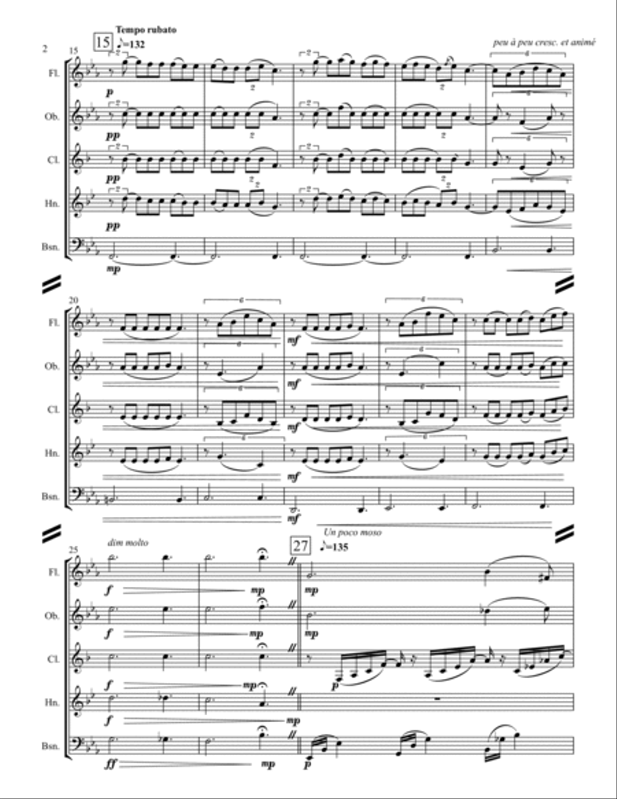 Clair de Lune (for Woodwind Quintet) Woodwind Quintet scores gallery preview page 3