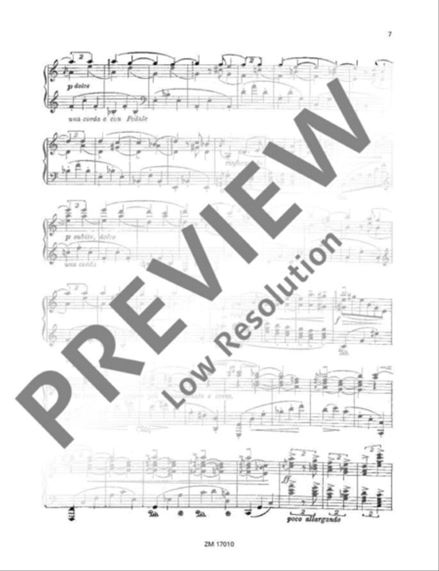 Vergessene Weisen (Forgotten Melodies) Piano Solo scores gallery preview page 8