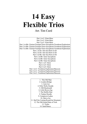 Book cover for 14 Easy Flexible Trios
